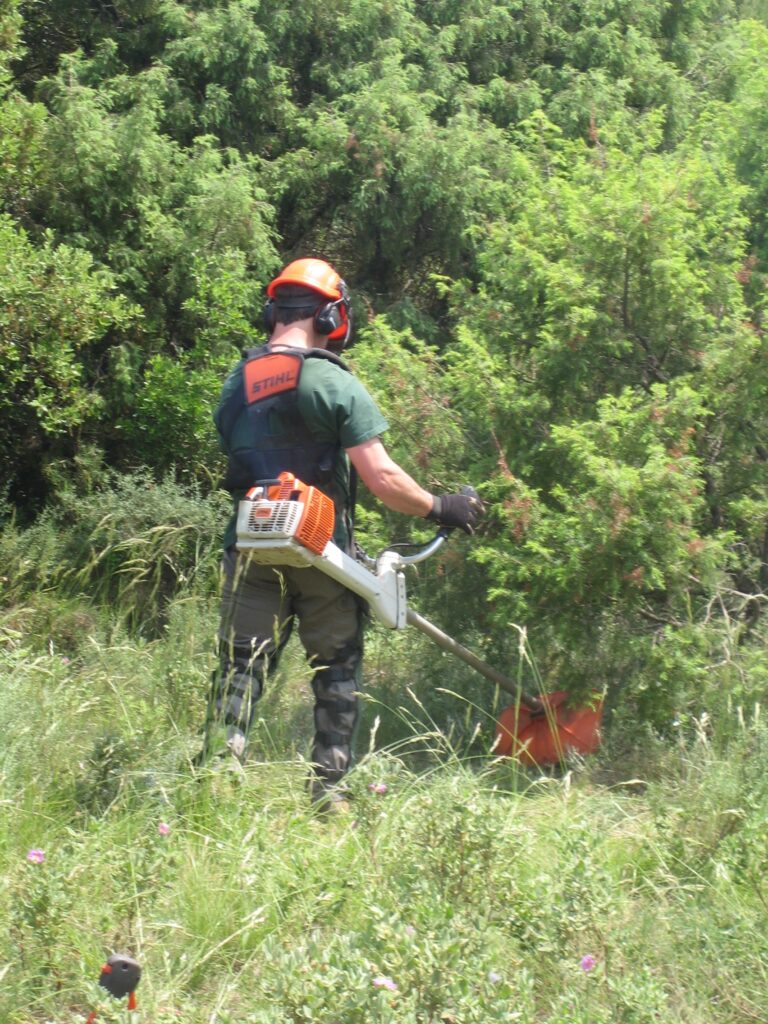 090526_DFCI_demodebrouss1