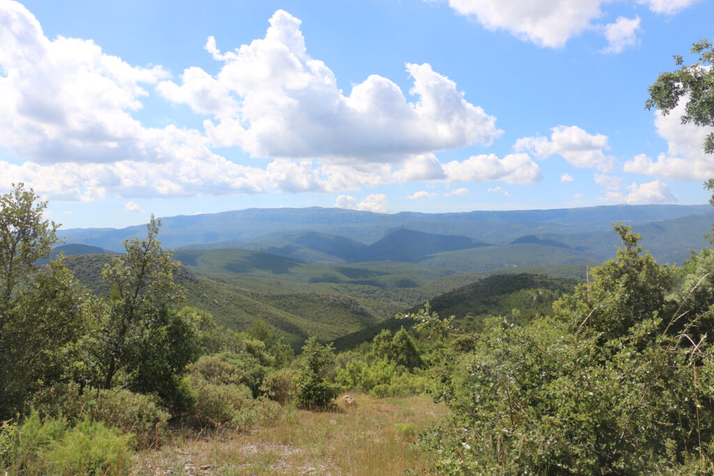 20210624_vue-Sainte-Baume_13 (4)